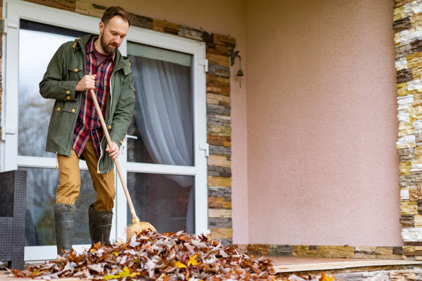 Best Construction Debris Removal  in Bisbee, AZ